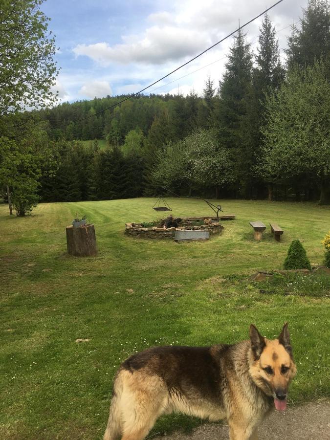 Bieszczadzka Sielanka Villa Wojtkowa Eksteriør bilde